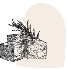 Alimento ilustrativo