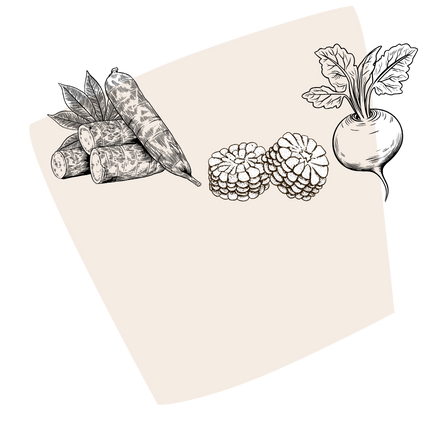 Alimento ilustrativo